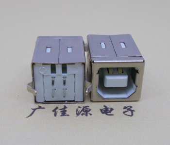 广西USB BF180度母座 打印机接口 立式直插带赛
