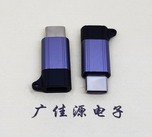 广西Type-C母转Type-C公 USB3.1 PD100W快冲接口